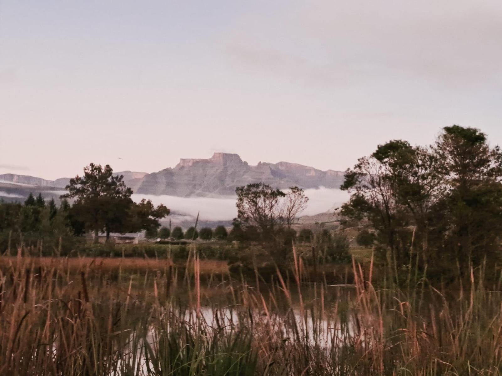 Berghaven Lodge *